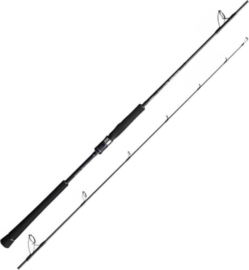 Shimano Fishing Game Type Cast Slow Jigging Rute Silber 1.68 m / 350 g Silber 1.68 m