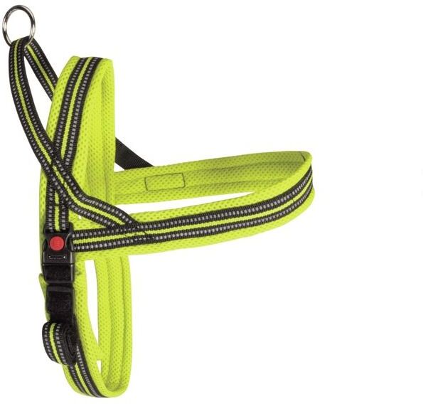 Camon Pettorina Mesh Dynam P Lime100