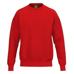 Erima TS Sweatshirt Kinder - rot - 128