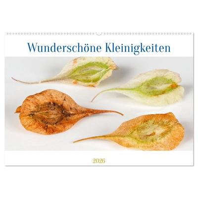 Wunderschöne Kleinigkeiten (Wandkalender 2026 DIN A2 quer), CALVENDO Monatskalender