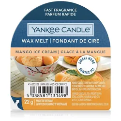 Mango Ice Cream 22g