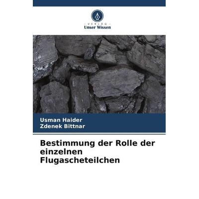 Bestimmung der Rolle der einzelnen Flugascheteilchen, Taschenbuch von Usman Haider,Zdenek Bittnar, Verlag Unser Wissen, 978-620-7-11214-2