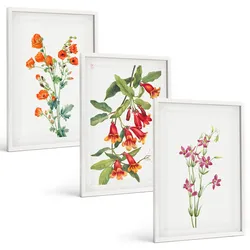 BILDER SET 3er Set - 40x60 cm Weißer Rahmen - Vintage-Retro-Blumenmalerei