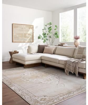 Livabliss Fifth Avenue Traditional Area Rug