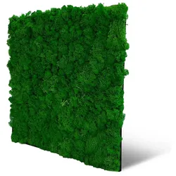 Wandpaneel Jangal Modular Wall 11100 Nature Green Moos 52 x 52 cm