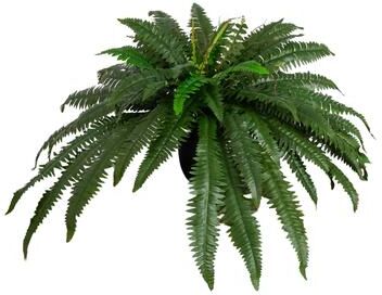 Nearly Natural 32-in Artificial Self-Shaped Boston Fern Plan in Black Planter