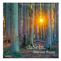 daSein. Wie ein Baum, Sachbücher von Tobias Böckermann, Martin Feltes, Willi Rolfes, Heinrich Dickerhoff