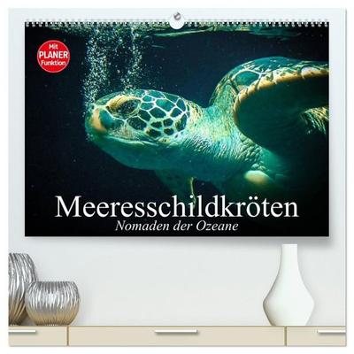 Meeresschildkröten. Nomaden der Ozeane (hochwertiger Premium Wandkalender 2027 DIN A2 quer), Kunstdruck in Hochglanz