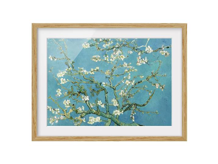 Bild Mandelblüte VIII Teilmassivholz Eiche, naturbelassen 70 x 50cm