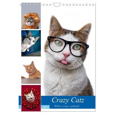 Crazy Catz. (Wandkalender 2027 DIN A4 hoch), CALVENDO Monatskalender