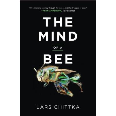 The Mind of a Bee, Taschenbuch von Lars Chittka, Princeton Univers. Press, 978-0-691-25389-3