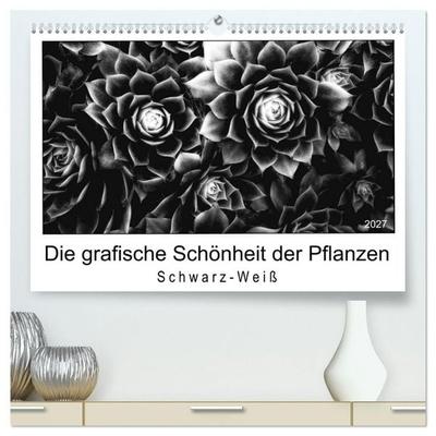 Die grafische Schönheit der Pflanzen – Schwarz-Weiß (hochwertiger Premium Wandkalender 2027 DIN A2 quer), Kunstdruck in Hochglanz