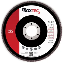 Fächerscheiben BRAUN 125mm Lamellenscheiben Schleifscheiben für Metall & Holz 10er Pack P80