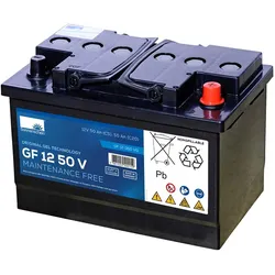 Exide Sonnenschein GF 12 050 V G dryfit Blei Gel Antriebsbatterie12V 50Ah (5h) VRLA