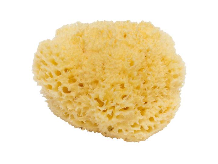 BELLINI BA-SA16 Honeycomb No. 16 Naturschwamm