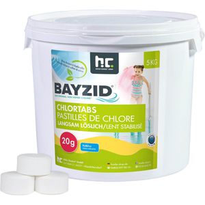 Höfer-Chemie Chlor BAYZID organisch, langsamlösliche Tabletten, für Pools, 90 % Chlorgehalt, 250 x 20 g, Eimer 5 kg