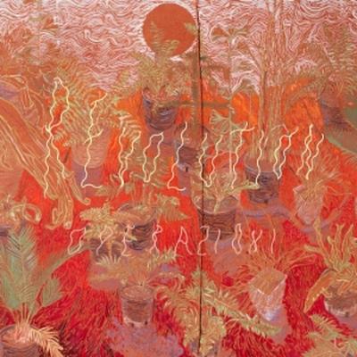 REvolution - Operazioni, Vinyl