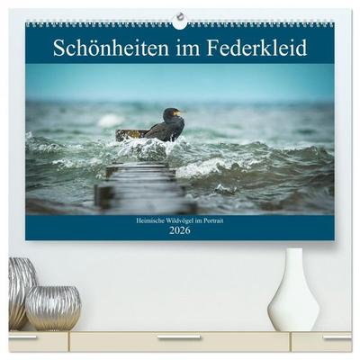 Schönheiten im Federkleid - Heimische Wildvögel im Portrait (hochwertiger Premium Wandkalender 2026 DIN A2 quer), Kunstdruck in Hochglanz