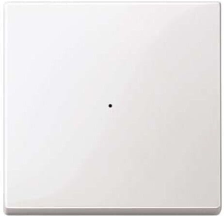 Merten Interrupteur à bascule pws/gl pour module-poussoir 1f. 619119 (619119)
