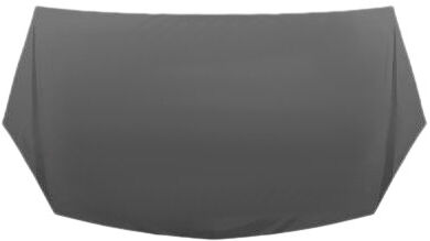 DIEDERICHS 1806000 Motorhaube