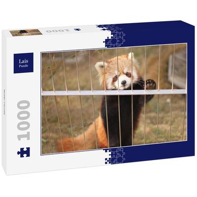 Lais Puzzle Roter Panda 1000 Teile