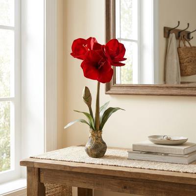 Regency International "21"" Amarylis Stem With Bulb"