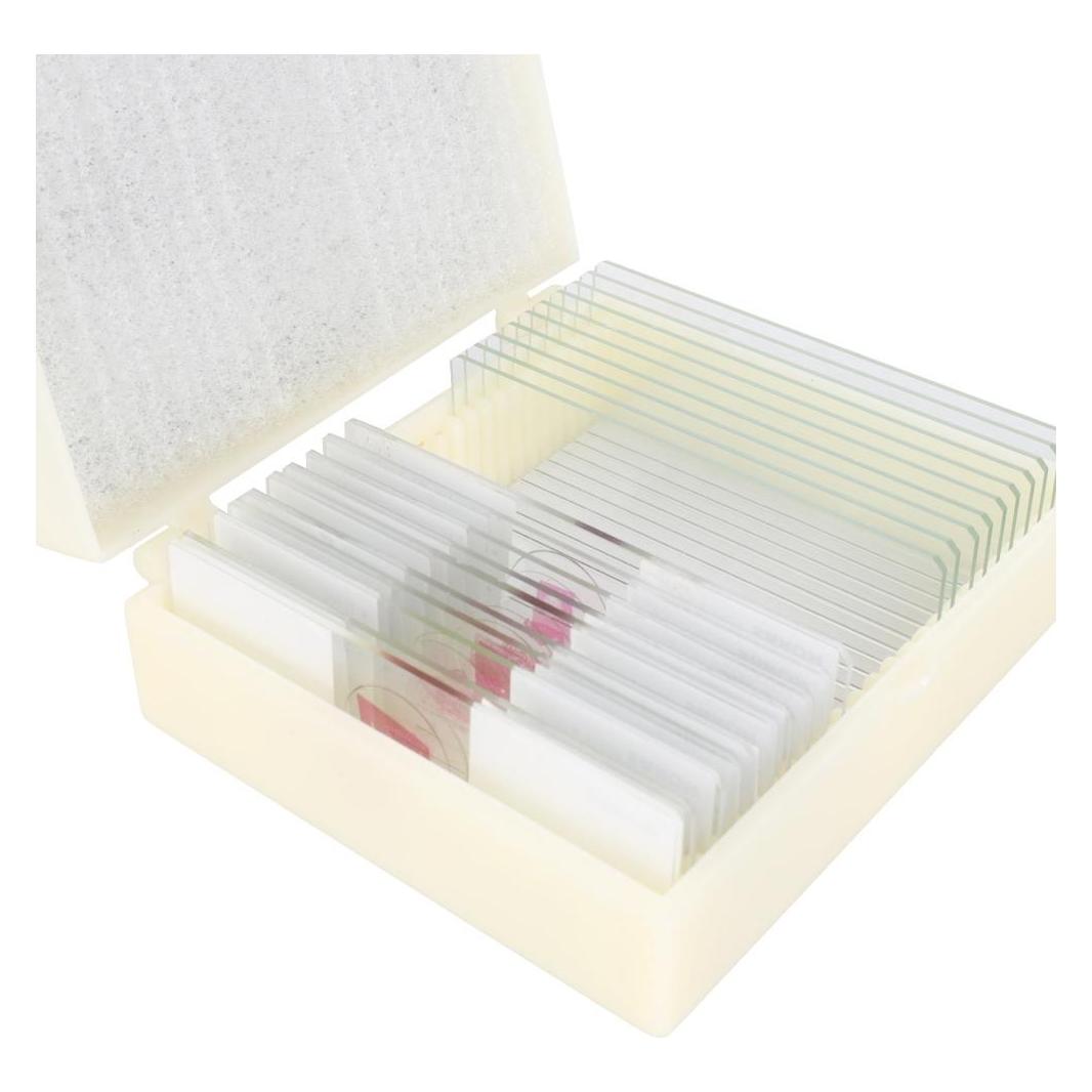 Konus Preparate Set Human Tissue 2 (10 Stk.) (The human body: normal tissues - 2 (10 slides))