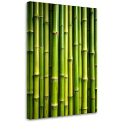 LEINWANDBILD Grüner Bambus Pflanzen 80x120cm