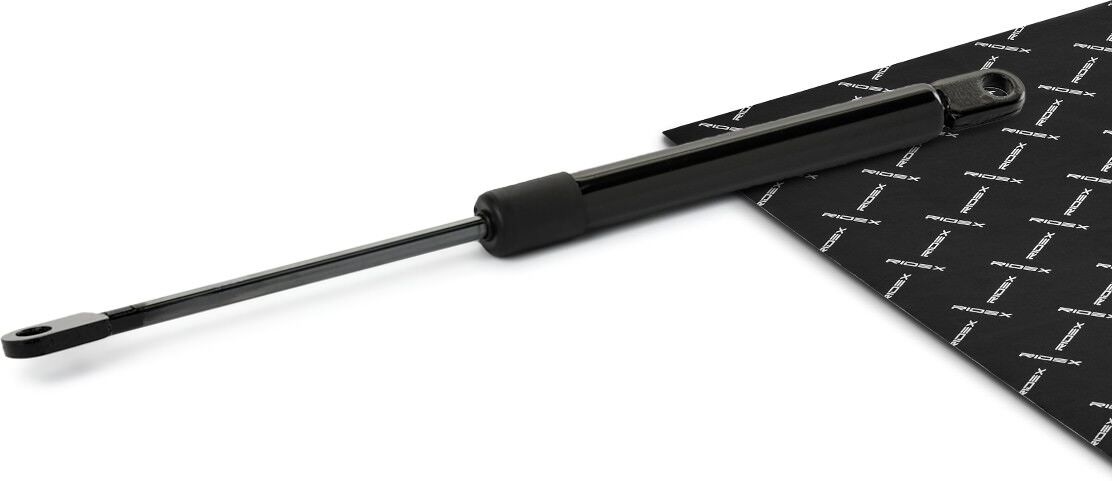RIDEX 219G0954 Tailgate strut
