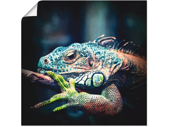 Poster ARTLAND Leguan , blau (farbe bild(er): blau), B:70cm H:70cm, Bilder, Poster, ohne Rahmen