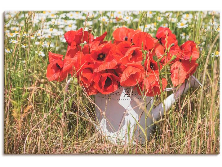 Leinwandbild ARTLAND Mohnblüten im Feld , braun (farbe bild(er): braun), B:60cm H:40cm, Bilder, Leinwandbild, auf Holzrahmen gespannt