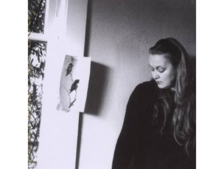 Robin Holcomb - John Brown's Body