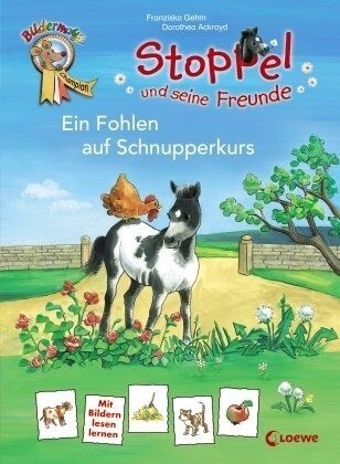 Franziska Gehm - Stoppel und seine Freunde - Ein Fohlen auf Schnupperkurs - Preis vom 10.10.2026 11:48:34 h