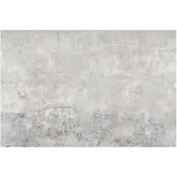 FOTOTAPETE Shabby Betonoptik 288/190 cm
