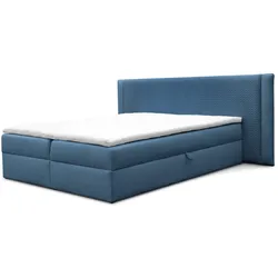 BOXBETT Cedric In Magic Velvet