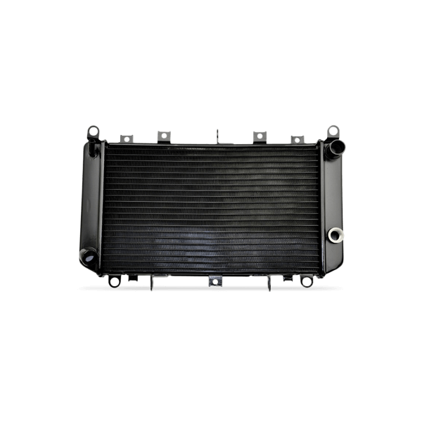 VAN WEZEL 17002281 Engine radiator
