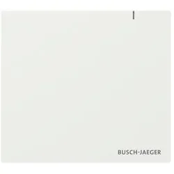 Busch-Jaeger System Access Point, Access Point