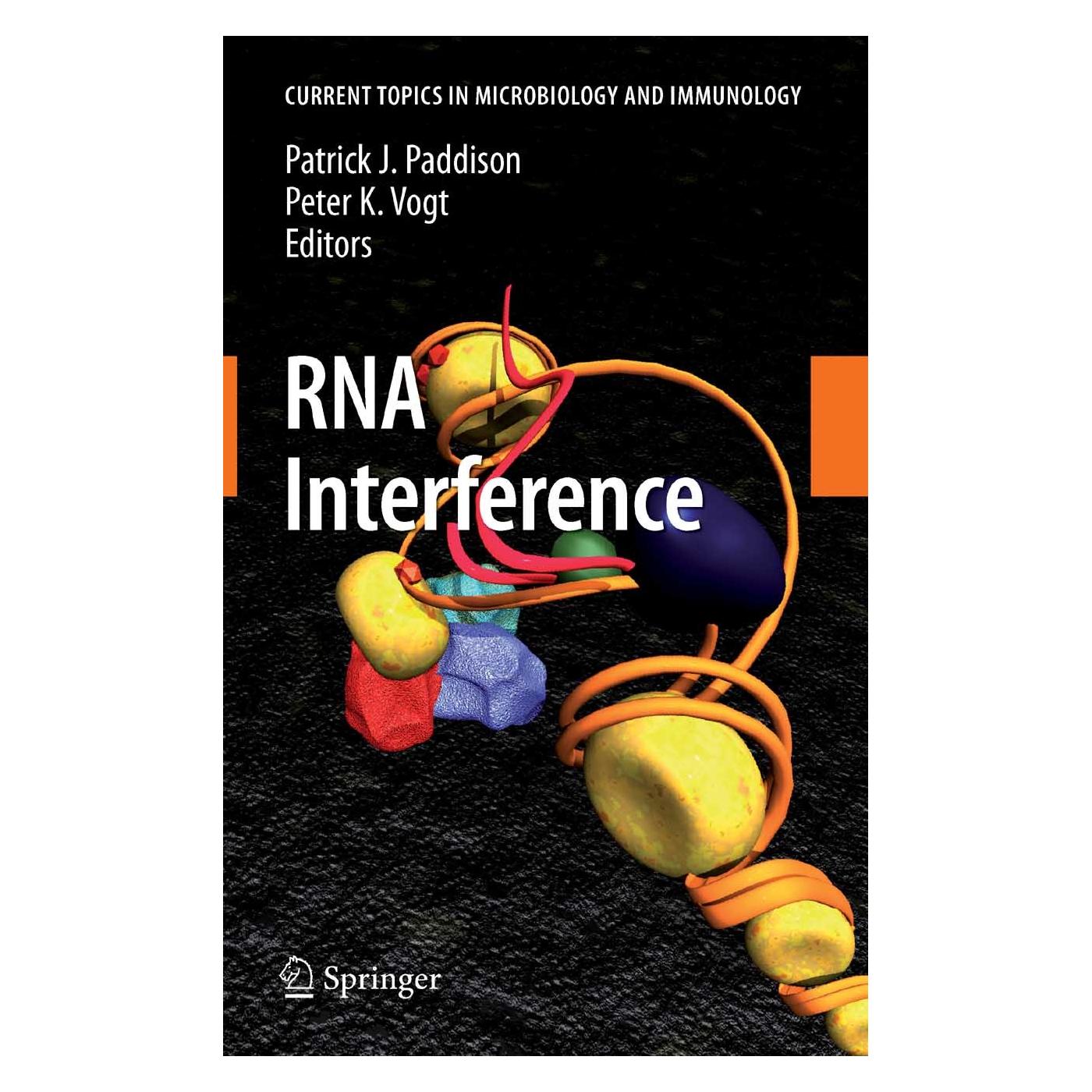 Springer RNA Interference (Englisch, Hardcover, Patrick J. Paddison, Peter K. Vogt) (9783540751564)