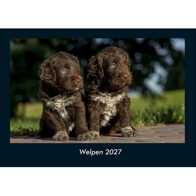 Welpen 2027 Fotokalender DIN A4