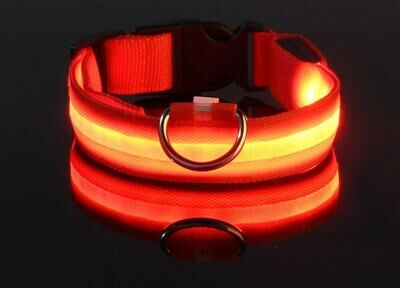 Uplifted Finds Nylon LED Night Safety Glow Dog Leash And Collar m red
