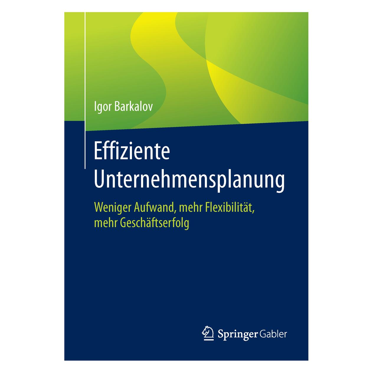 Springer Effiziente Unternehmensplanung (Deutsch, Softcover, Igor Barkalov) (35150304)