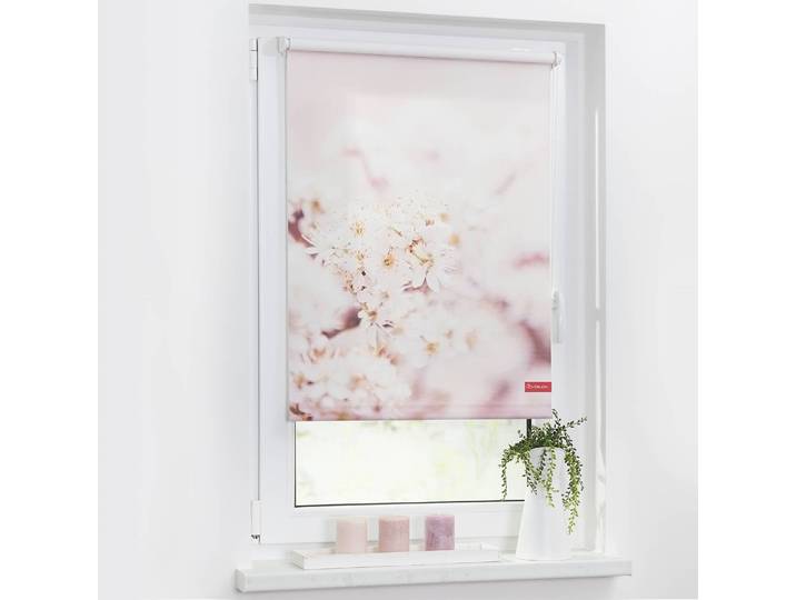 Klemmfix-Rollo Kirschblüten 70 x 150cm Weiß