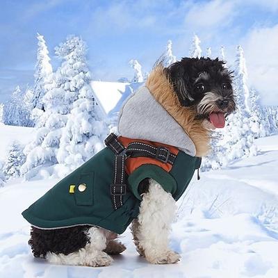 Hund Mäntel Jacke Mode Winter Warm Mode Bequem Outdoor Alltagskleidung Hausbekleidung Hundebekleidung for Klein Mittelgroß