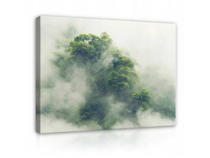 LEINWANDBILDER Wald im Nebel Natur 60x40