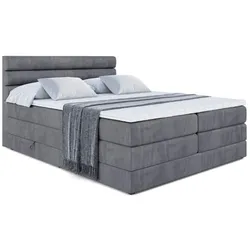 BOXSPRINGBETT CELESTIA KING - 140x200 - H3/H4 - Dunkelgrau