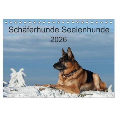 Schäferhunde Seelenhunde (Tischkalender 2026 DIN A5 quer), CALVENDO Monatskalender