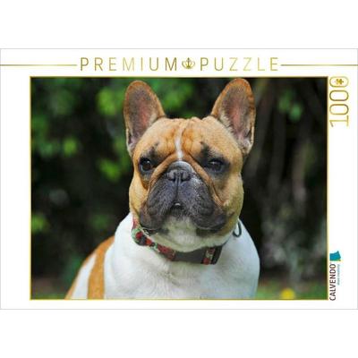 CALVENDO Puzzle Französische Bulldogge - ein Freund für´s Leben | 1000 Teile Lege-Größe 64x48cm Foto-Puzzle für glückliche Stunden