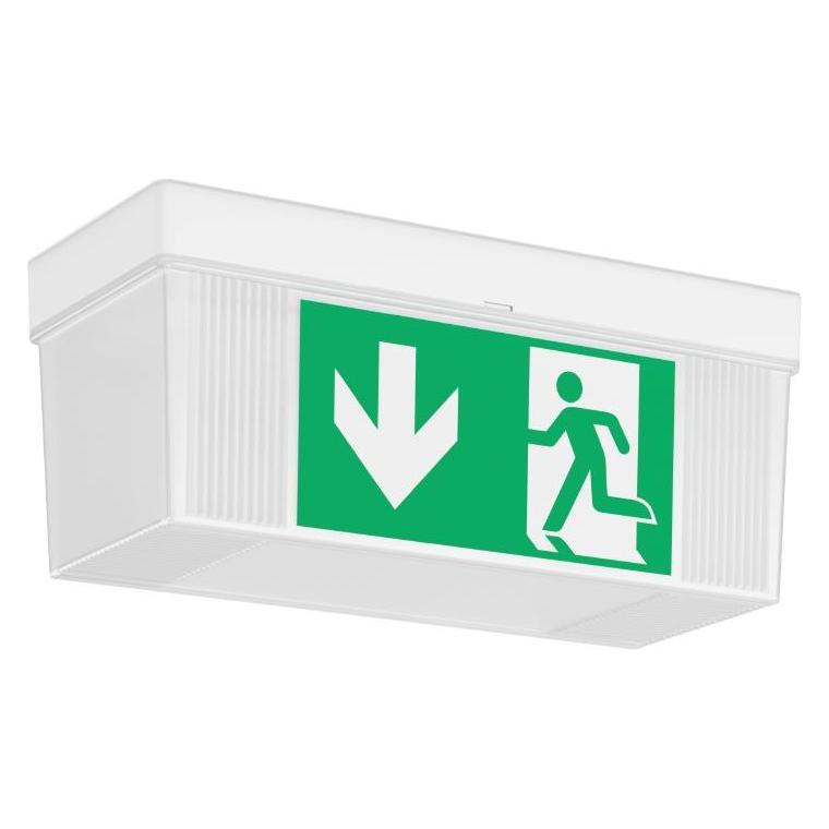 RZB LED-Notleuchte (671820.002.2)