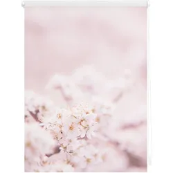 Lichtblick Rollo Klemmfix, ohne Bohren, Verdunkelung, Kirschblüten - Rosa Weiß