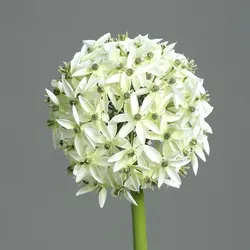 Kunstblume Allium (DH 19x70 cm) - weiß - DH 19x70 cm